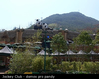 Jockey Club - domov pro pandy